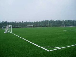 專(zhuān)業(yè)足球場(chǎng)