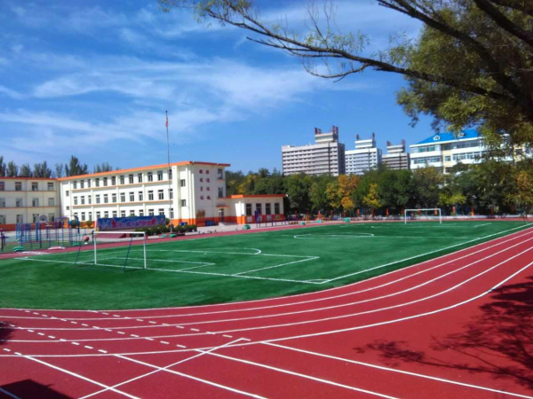 專(zhuān)業(yè)足球場(chǎng)地