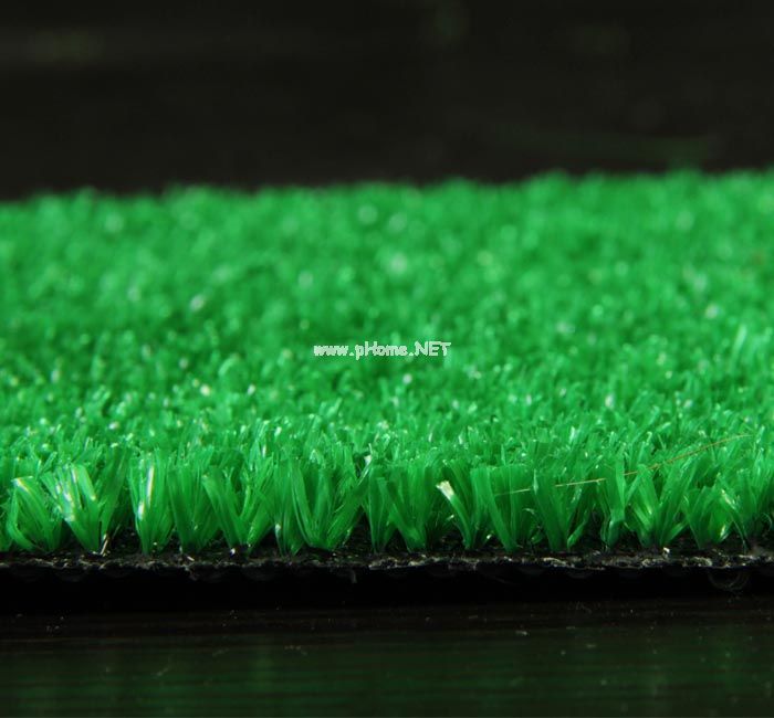 小開網(wǎng)  翠綠